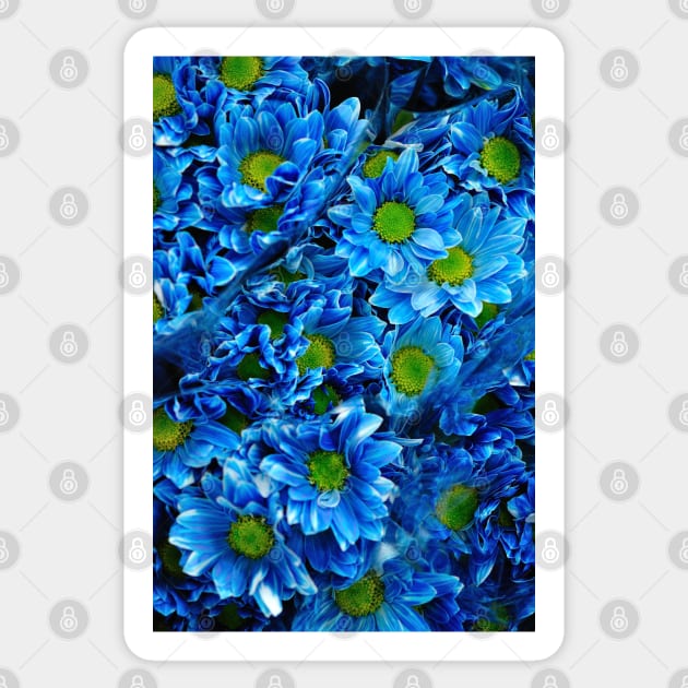 Blue Flowers Sticker by SashaRusso